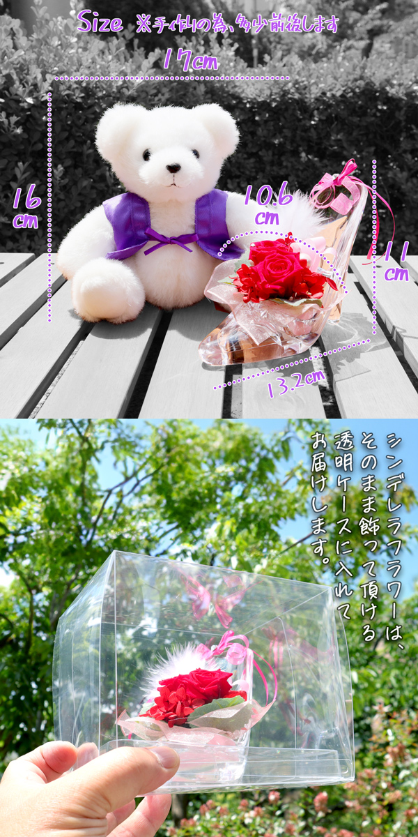 古希ベアセットのサイズ